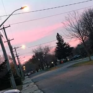 Meet your Posher, Molly